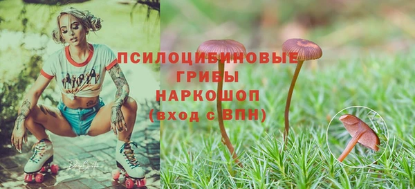 ешки Наволоки