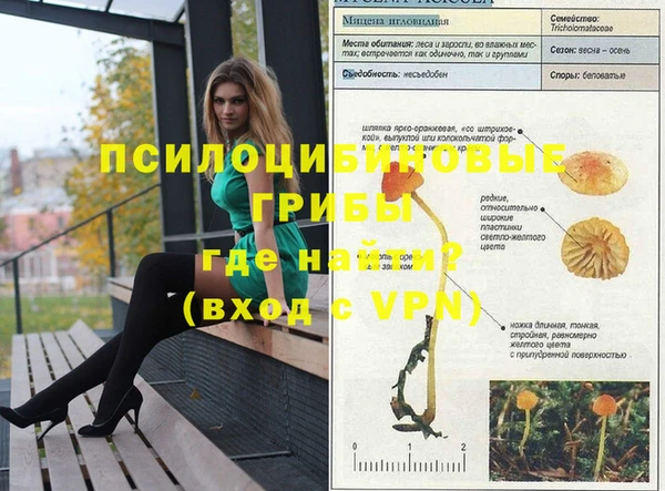 трава Надым