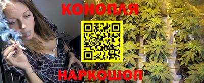 молекула духа Заволжье