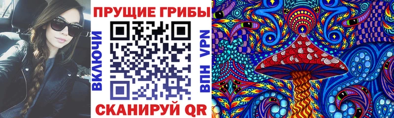 Галлюциногенные грибы Psilocybine cubensis МЕГА как зайти Стерлитамак купить наркотики цена