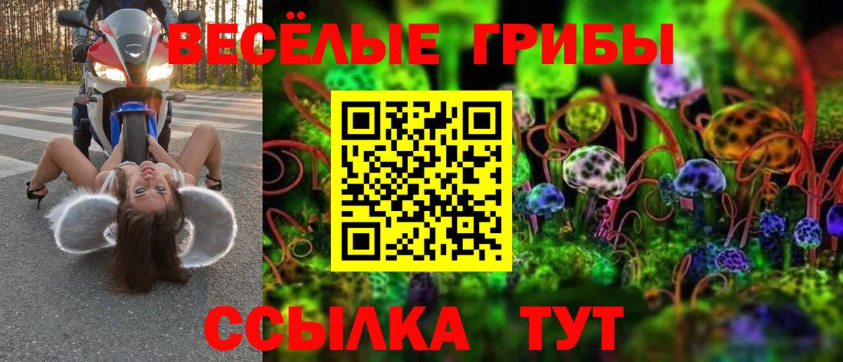 Галлюциногенные грибы мухоморы  Вход с VPN  Стерлитамак 