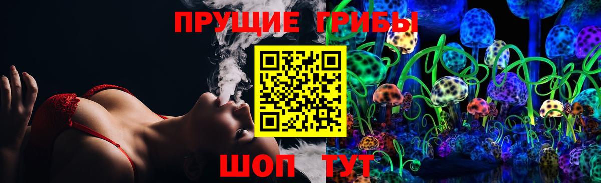 Псилоцибиновые грибы Psilocybine cubensis Стерлитамак